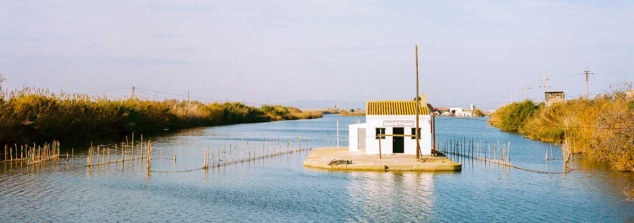 La Albufera