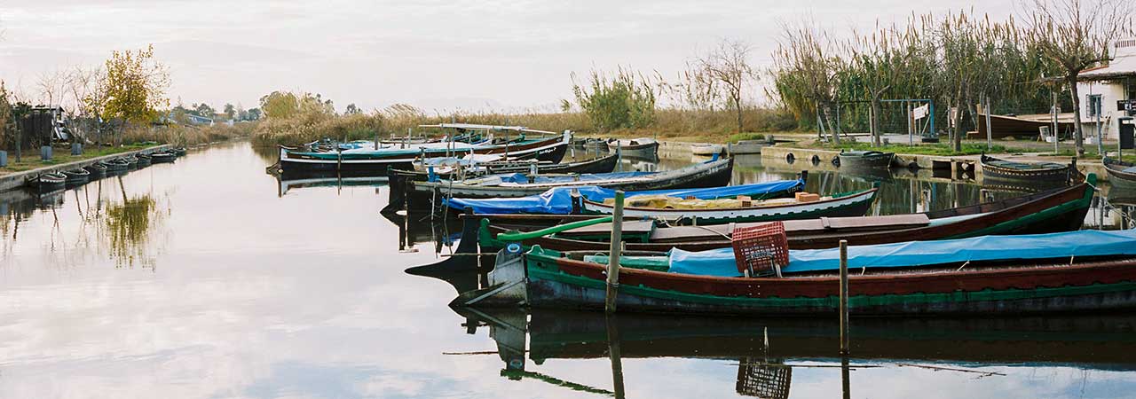 Parque natural de la Albufera