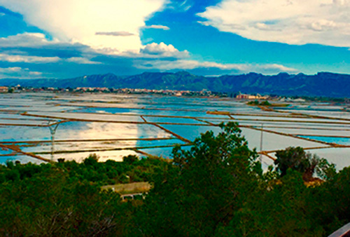 Montanyeta dels sants Albufera