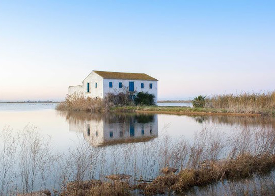 Casa de campo en los campos de arroz