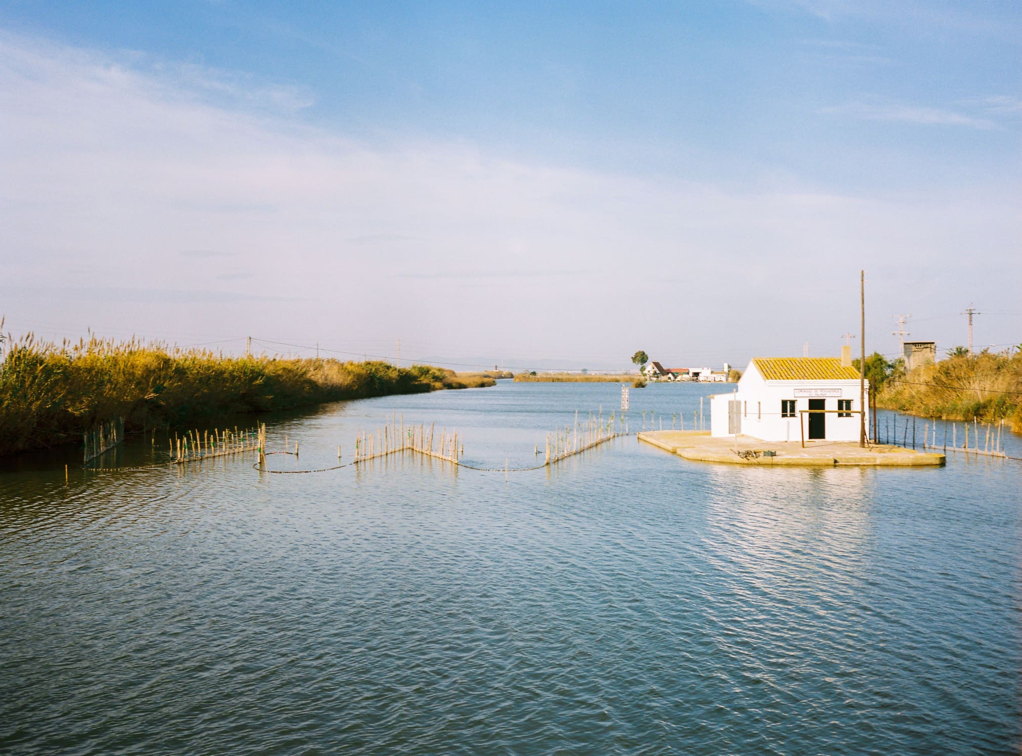 Canales lago de la Albufera