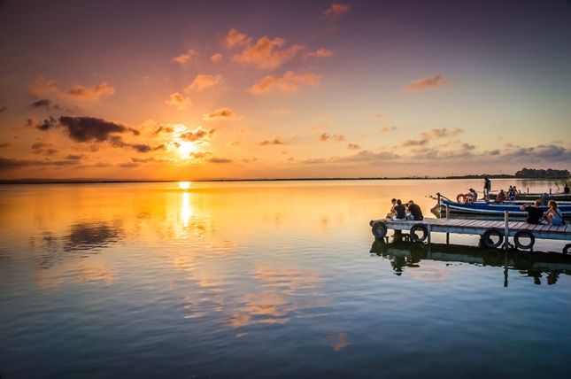 Paseo en barca por la Albufera de El Palmar - Naturaleza y tradición valenciana